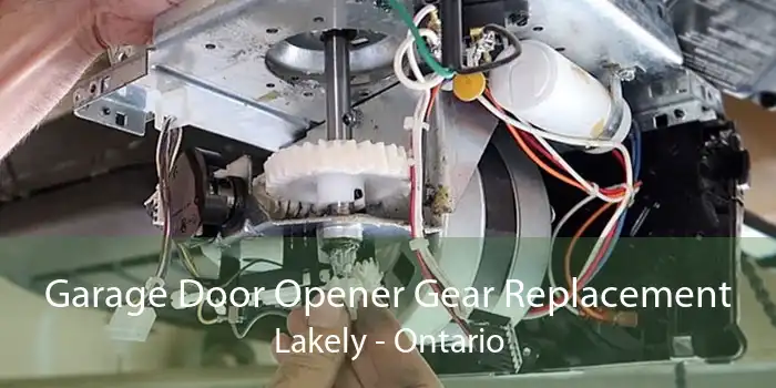 Garage Door Opener Gear Replacement Lakely - Ontario