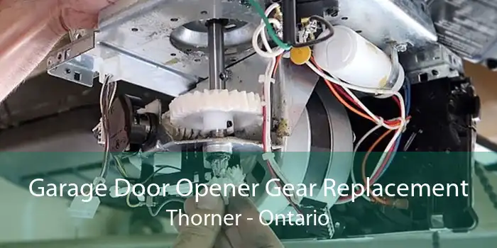 Garage Door Opener Gear Replacement Thorner - Ontario