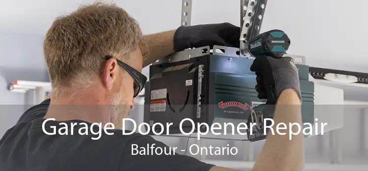 Garage Door Opener Repair Balfour - Ontario