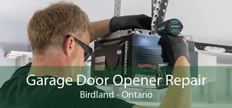 Garage Door Opener Repair Birdland - Ontario