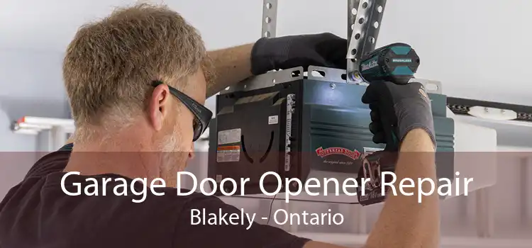 Garage Door Opener Repair Blakely - Ontario