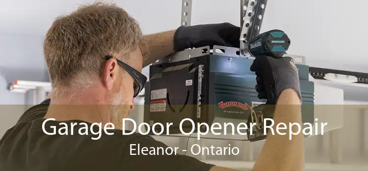 Garage Door Opener Repair Eleanor - Ontario