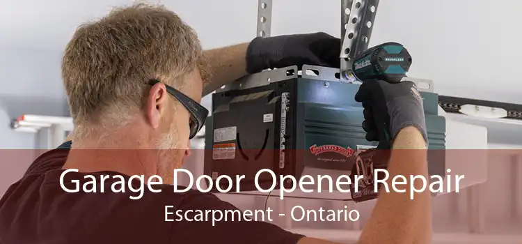 Garage Door Opener Repair Escarpment - Ontario