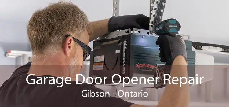 Garage Door Opener Repair Gibson - Ontario