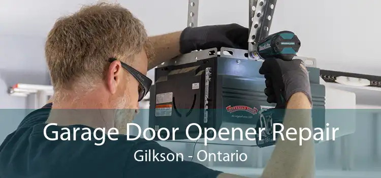 Garage Door Opener Repair Gilkson - Ontario