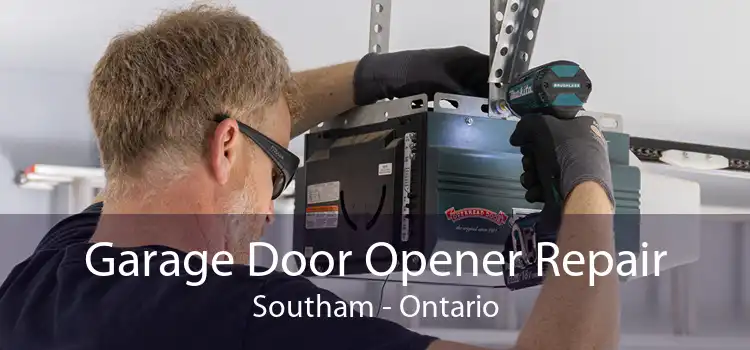 Garage Door Opener Repair Southam - Ontario