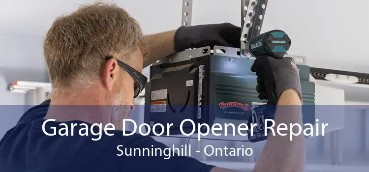 Garage Door Opener Repair Sunninghill - Ontario