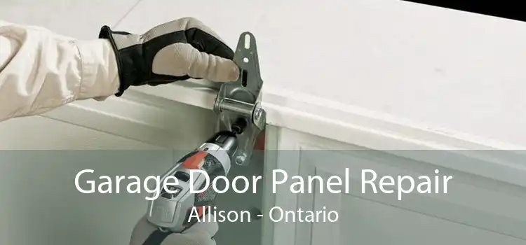 Garage Door Panel Repair Allison - Ontario