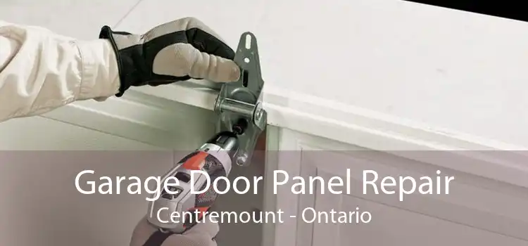 Garage Door Panel Repair Centremount - Ontario