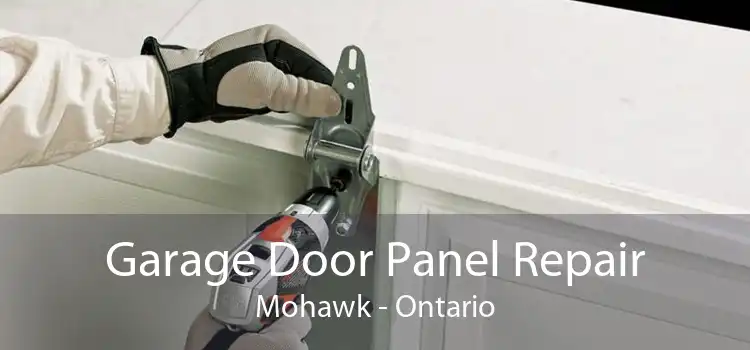Garage Door Panel Repair Mohawk - Ontario