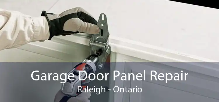 Garage Door Panel Repair Raleigh - Ontario