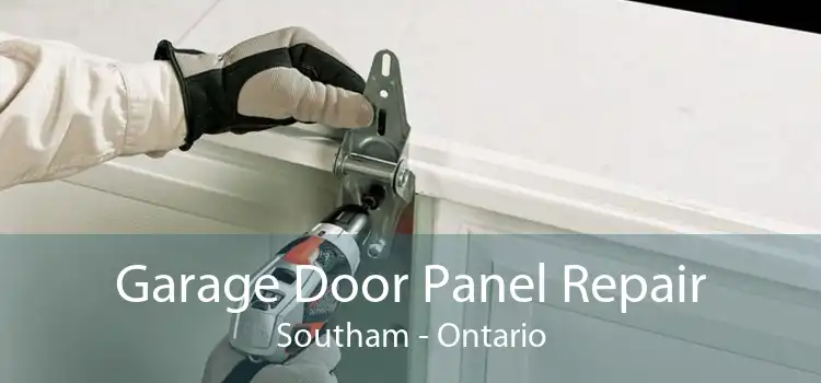 Garage Door Panel Repair Southam - Ontario