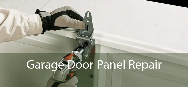 Garage Door Panel Repair