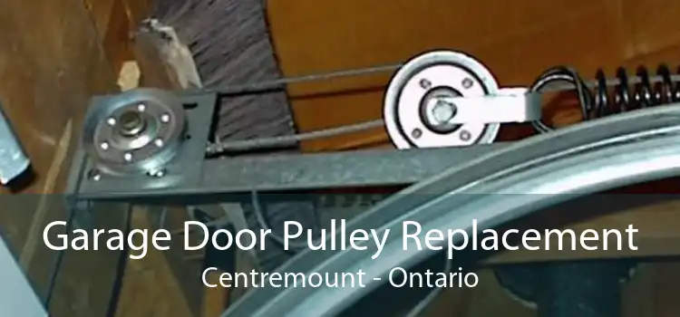 Garage Door Pulley Replacement Centremount - Ontario