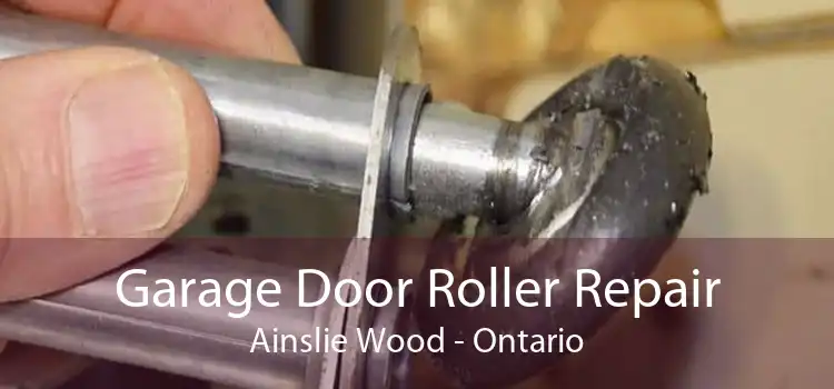 Garage Door Roller Repair Ainslie Wood - Ontario