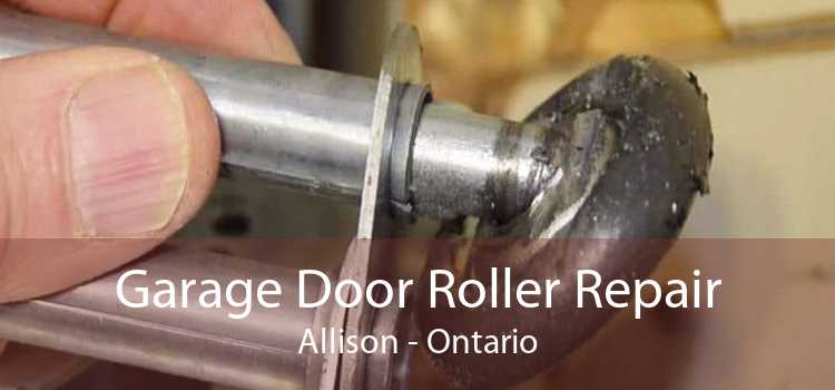 Garage Door Roller Repair Allison - Ontario