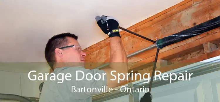 Garage Door Spring Repair Bartonville - Ontario