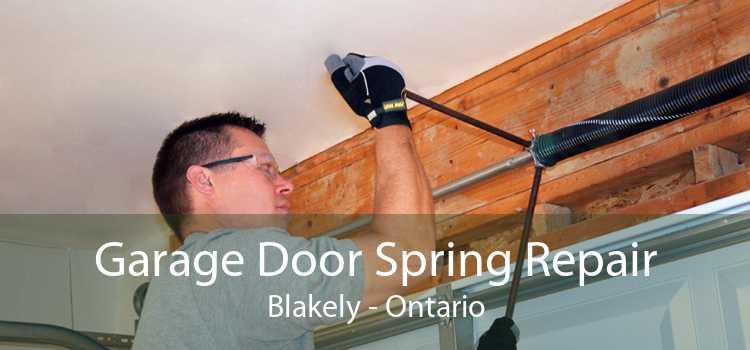 Garage Door Spring Repair Blakely - Ontario