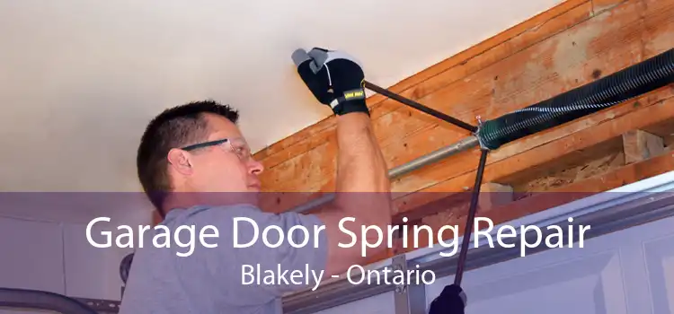 Garage Door Spring Repair Blakely - Ontario