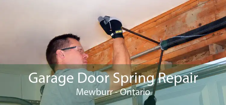 Garage Door Spring Repair Mewburr - Ontario
