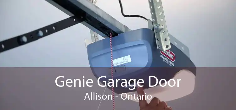 Genie Garage Door Allison - Ontario