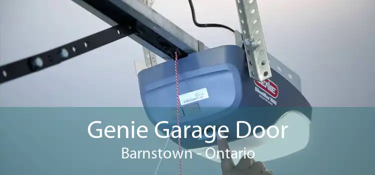 Genie Garage Door Barnstown - Ontario