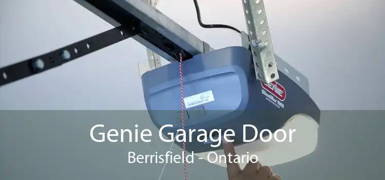 Genie Garage Door Berrisfield - Ontario