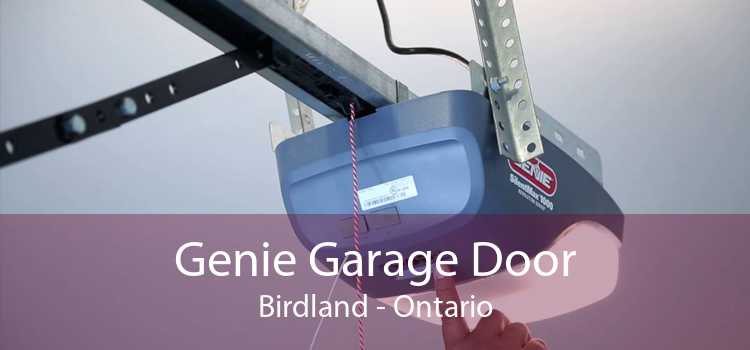 Genie Garage Door Birdland - Ontario