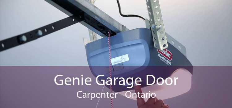 Genie Garage Door Carpenter - Ontario