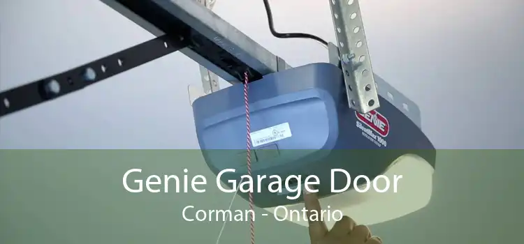 Genie Garage Door Corman - Ontario