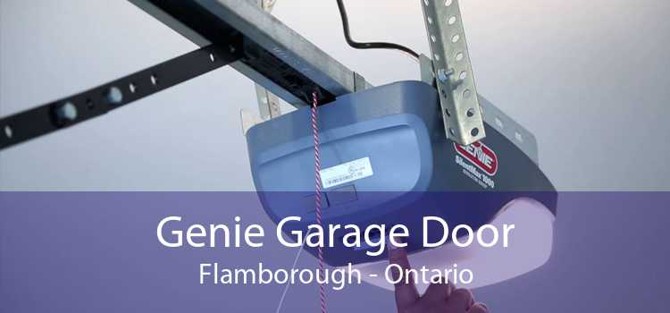 Genie Garage Door Flamborough - Ontario