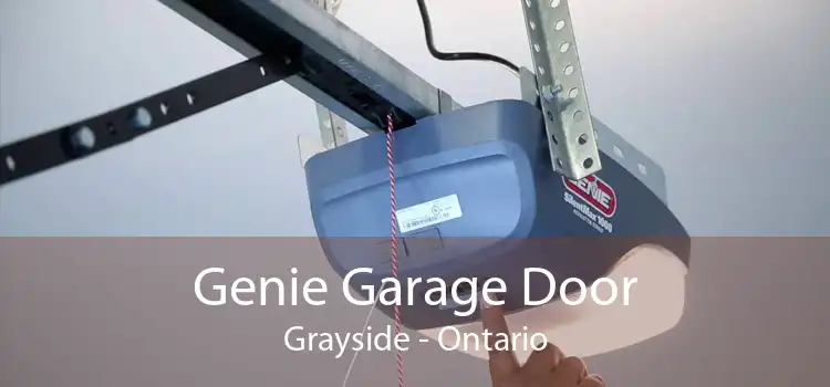 Genie Garage Door Grayside - Ontario