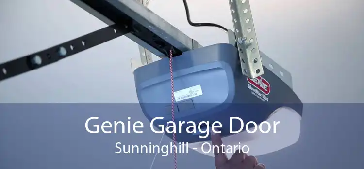 Genie Garage Door Sunninghill - Ontario
