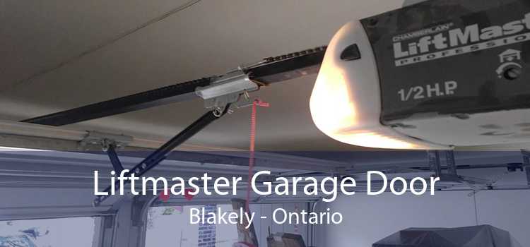 Liftmaster Garage Door Blakely - Ontario