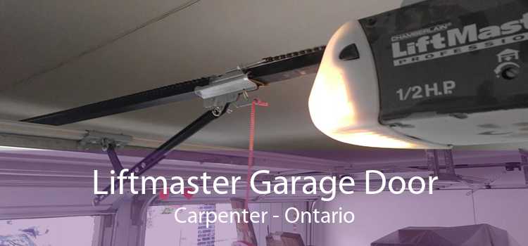 Liftmaster Garage Door Carpenter - Ontario
