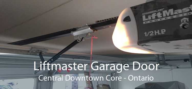 Liftmaster Garage Door Central Downtown Core - Ontario