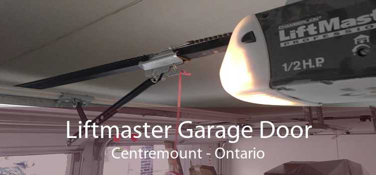 Liftmaster Garage Door Centremount - Ontario