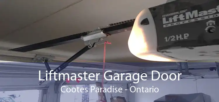 Liftmaster Garage Door Cootes Paradise - Ontario