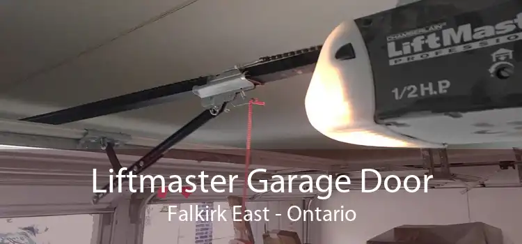 Liftmaster Garage Door Falkirk East - Ontario