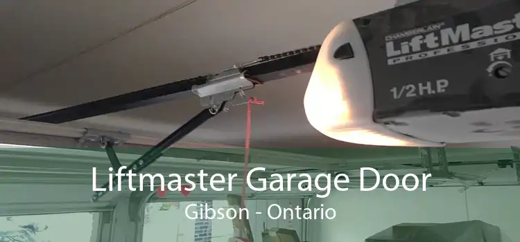 Liftmaster Garage Door Gibson - Ontario