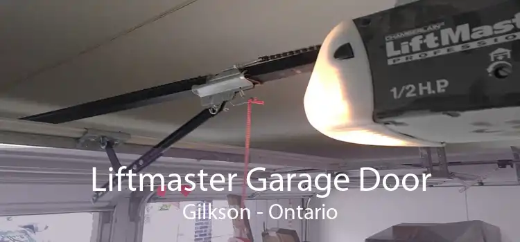 Liftmaster Garage Door Gilkson - Ontario