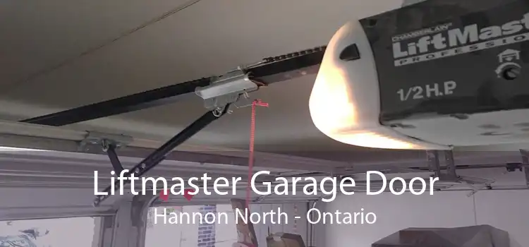 Liftmaster Garage Door Hannon North - Ontario