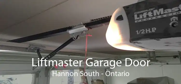 Liftmaster Garage Door Hannon South - Ontario