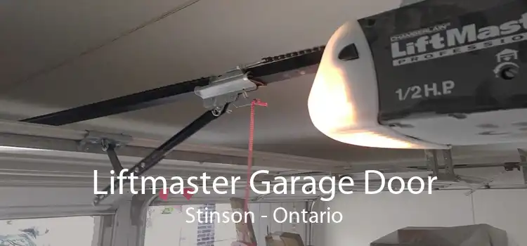 Liftmaster Garage Door Stinson - Ontario