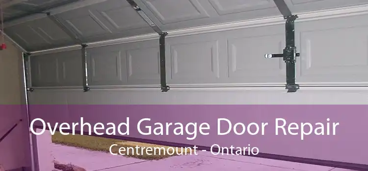 Overhead Garage Door Repair Centremount - Ontario