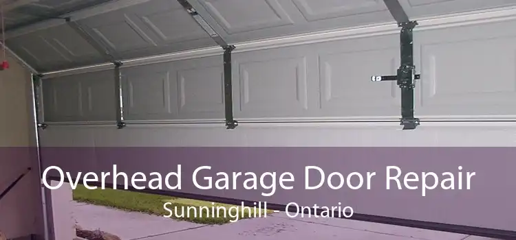Overhead Garage Door Repair Sunninghill - Ontario