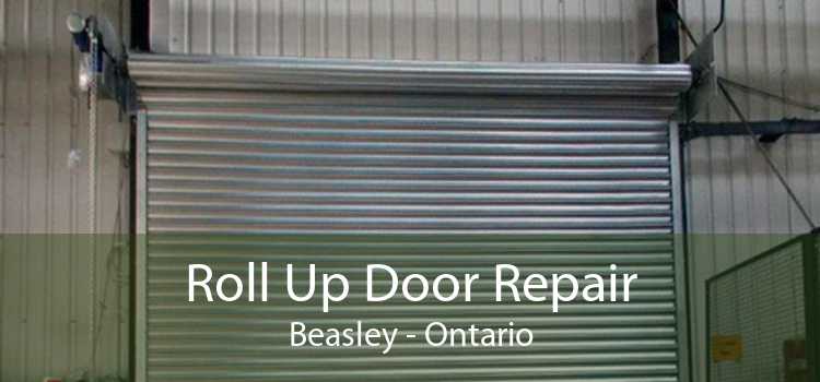 Roll Up Door Repair Beasley - Ontario