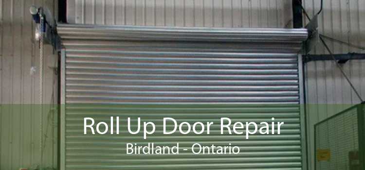 Roll Up Door Repair Birdland - Ontario