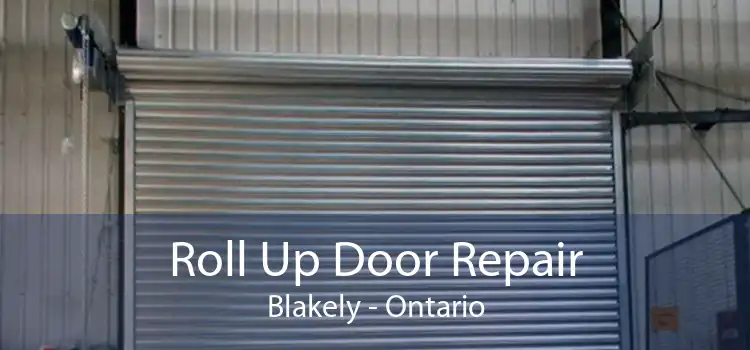 Roll Up Door Repair Blakely - Ontario