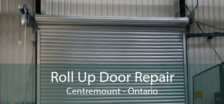 Roll Up Door Repair Centremount - Ontario